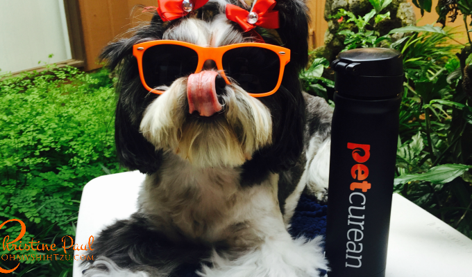 healthy Shih Tzu Dog Food