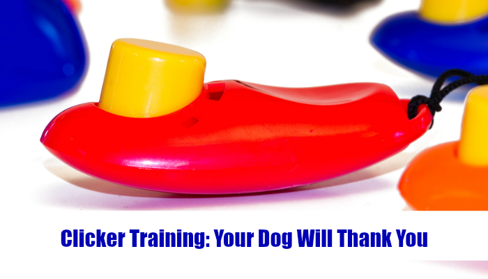 why clicker training?  if you are looking for p