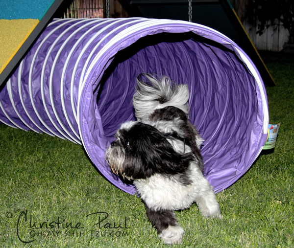 Out of the Tunnel she Goes!