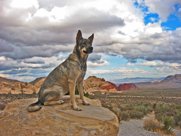 Rainy afternoon @ Red Rock