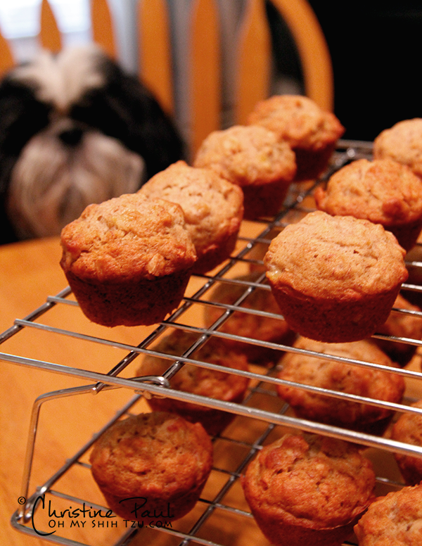 Dog Treat Recipe: Banana Mini Cupcakes