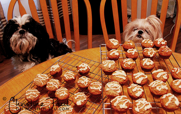 Dog Treat Recipe: Banana Mini Cupcakes