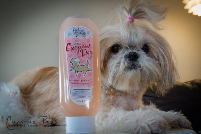 best dog shampoo for shih tzu