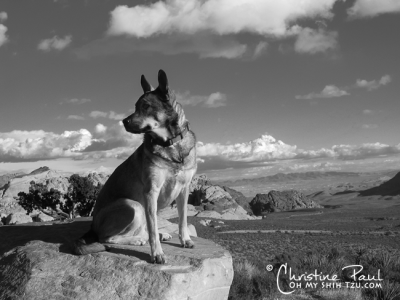 Kyra in Las Vegas Red Rock Canyon