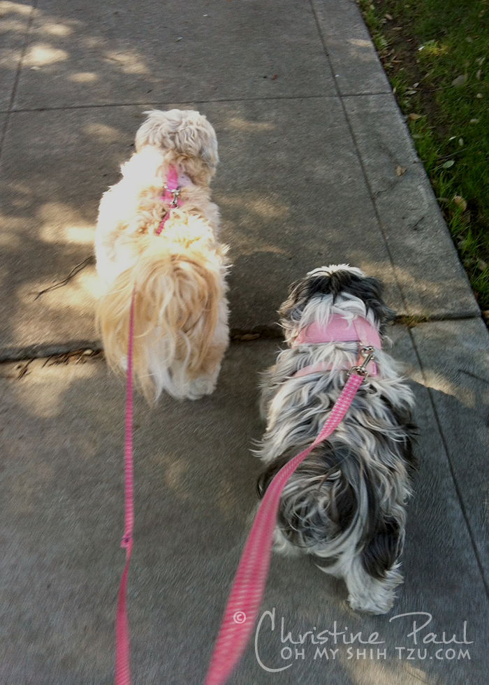 Sidewalks Only!