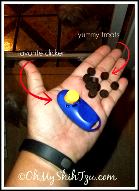 ClickerTreats