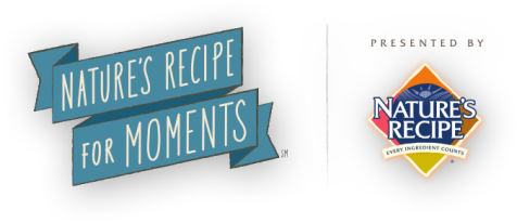 Recipe_For_Moments_Logo_476x206
