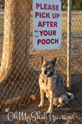 Kyra Scoop Poop Sign at Dog Park