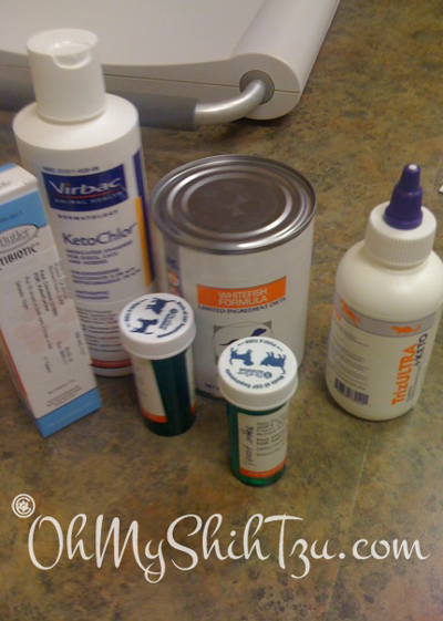 Katie's Medications after her first trip to the vet. Infections in both ears, yeast infections, allergies.