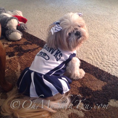 Seahawks Shih Tzu Cheerleader