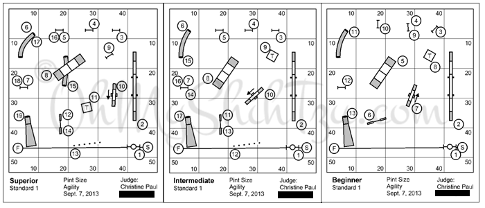 https://www.ohmyshihtzu.com/wp-content/uploads/2014/04/Agility-Courses.png