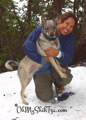 Kyra Hiking in the Snow