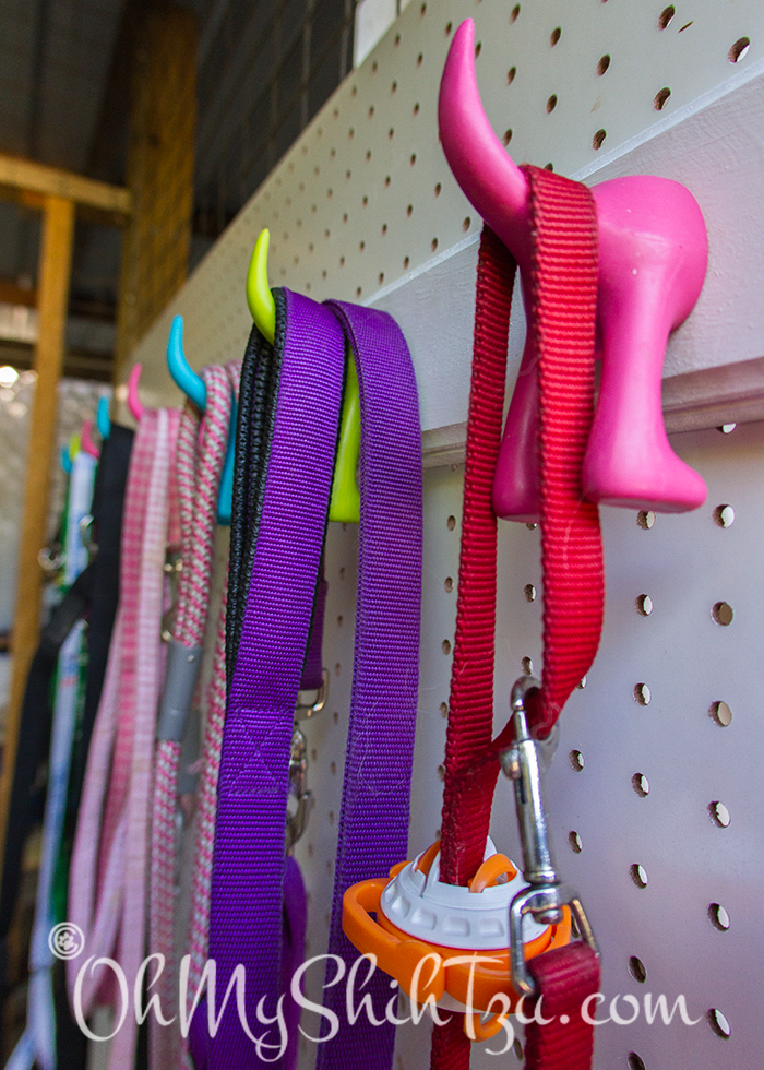 Dog Leashes