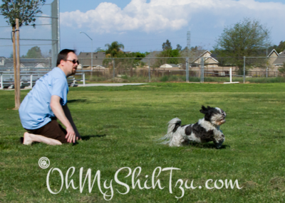 Riley chasing disc