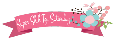 Super Shih Tzu Saturday Logo