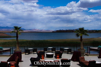 Westin Lake Las Vegas Terrace