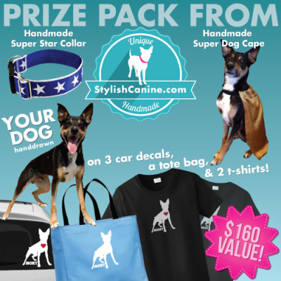 Pet Giveaway Stylish Canine