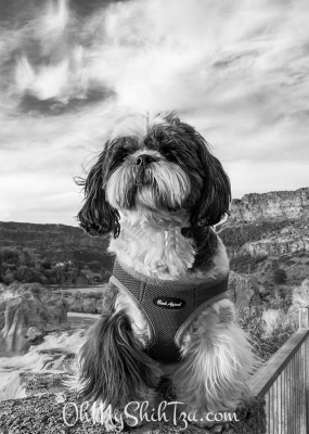 Shoshone Falls Overlook