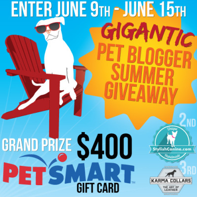 Gigantic Pet GIveaway