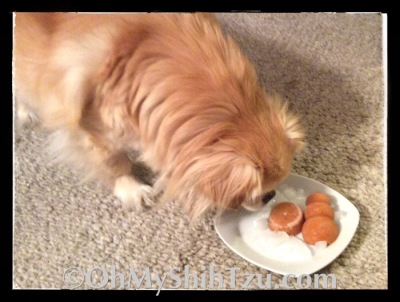 Strawberry Banana Frozen Dog Treats