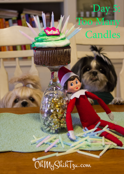 Elf on the Shelf Shih Tzus