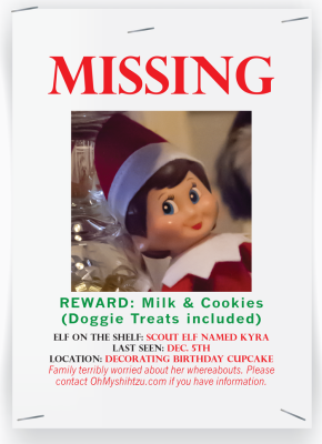 Missing Elf on the Shelf