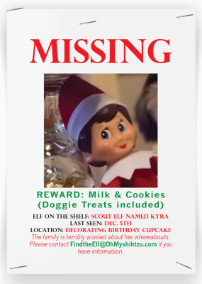 Missing Elf on the Shelf