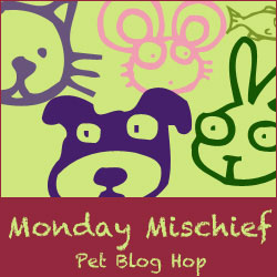 Monday Mischief