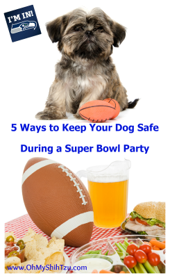 keep your dogs safe during a super bowl party