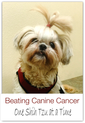 Beating Canine Cancer