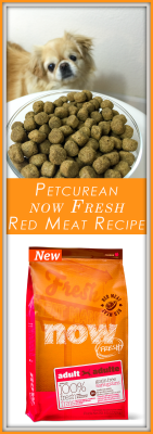 Petcurean Fresh Now