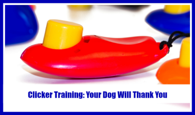 Dog Clicker Training