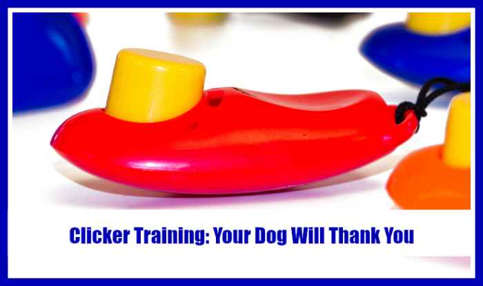 clicker training your dog