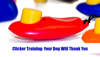 Clicker Training Featured Image