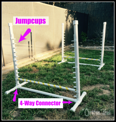 Backyard Agility Equipment