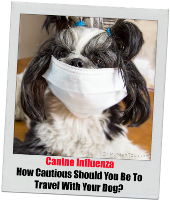 Canine Influenza