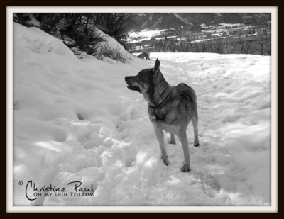 Kyra Memorial Hill, Midway UT