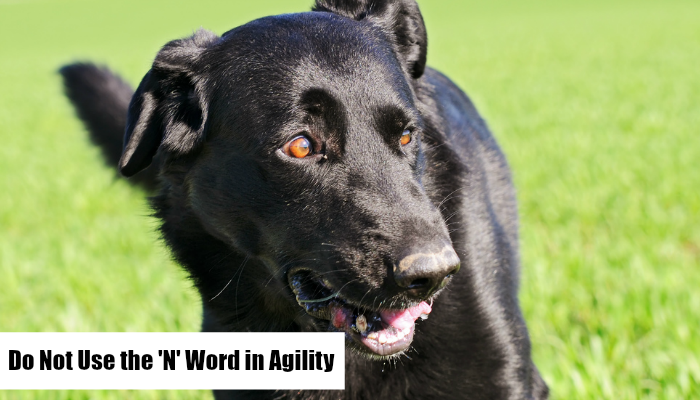 'N' word , Agility Training