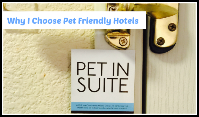 Pet Friendly Hotels