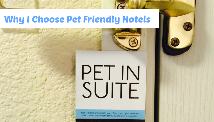 Pet Friendly Hotels