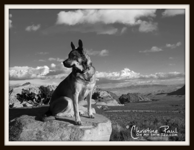 Kyra Red Rock Canyon, Las Vegas Nevada