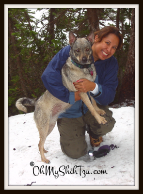 Kyra Hiking in the Snow