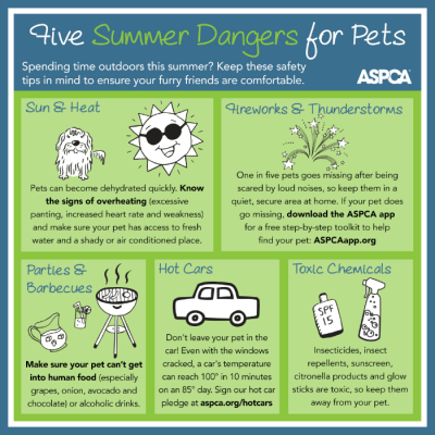 Pet Safety Info-graphic by ASPCA
