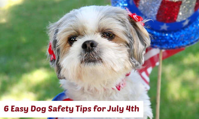 Dog Safety July 4th