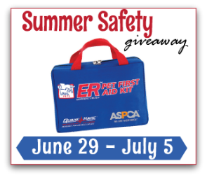 Summer Safety Giveaway Picture
