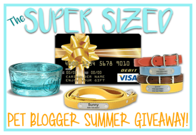 Pet Blogger Giveaway