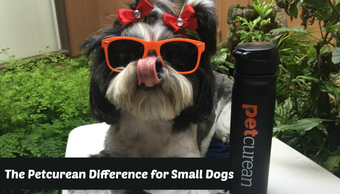 Petcurean Difference Featured Image Shih Tzu w/Tongue out