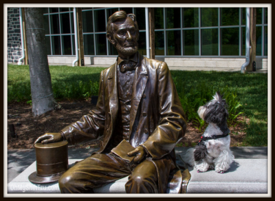 Shih Tzu Travel Gettysburg with RIley