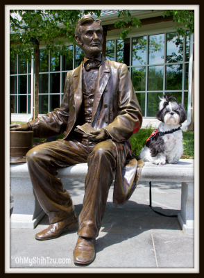Shih Tzu Travel Riley sits with Abe Lincoln