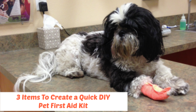 Pet First Aid Kit Featured Image